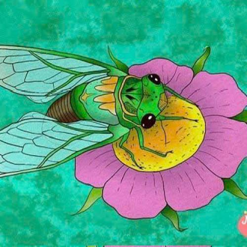 Nếu Ve Sầu có cơ hội làm lại từ đầu, bạn nghĩ cậu ấy sẽ thay đổi hành vi như thế nào? Và bạn có thể rút ra bài học gì từ điều này cho bản thân?