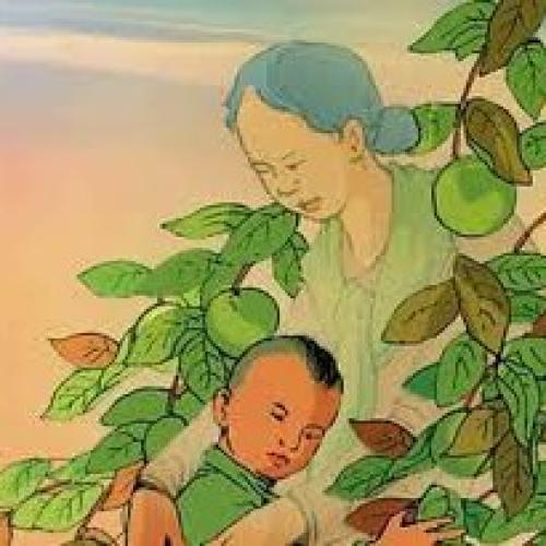 Hành động của cậu bé đúng hay sai?