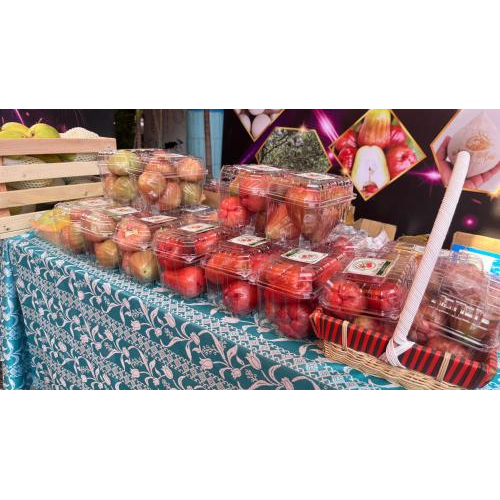 Không gian xuân xanh – nơi những giá trị nhỏ tạo nên thay đổi lớn