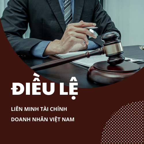 Điều Lệ Liên Minh Tài Chính Doanh Nhân Việt Nam