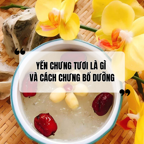 Yến Chưng Tươi Là Gì? Cách Làm Yến Chưng Tươi Thơm Ngon Và Bổ Dưỡng Nhất